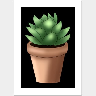 Succulent Posters and Art